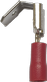 1PB.png